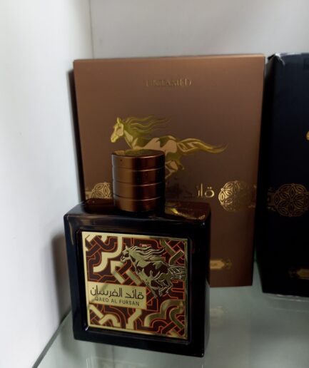 Qaed Al Fursan Untamed